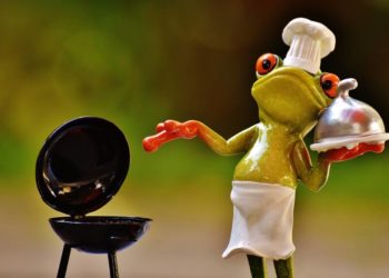 Weiterbildung und Sommergrillen für Ehrenamtliche und Interessierte