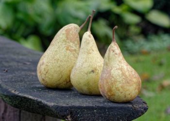 Gemeinsam essen – die Ratzeburger LandFrauen kochen für alle