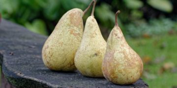 Gemeinsam essen – die Ratzeburger LandFrauen kochen für alle