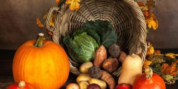 Ausflug und Informationsveranstaltungen mit den Ratzeburger LandFrauen