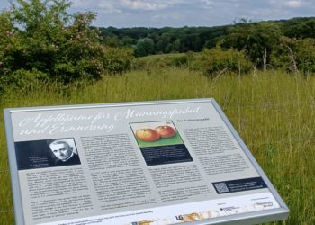 Fahrradtour zu den Apfelbäumen für Meinungsfreiheit und Erinnerung