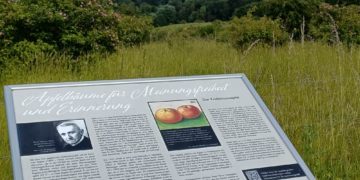 Fahrradtour zu den Apfelbäumen für Meinungsfreiheit und Erinnerung