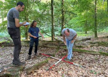  Projekt WiWaldI- Wissenschaftler untersuchen die Waldvegetation