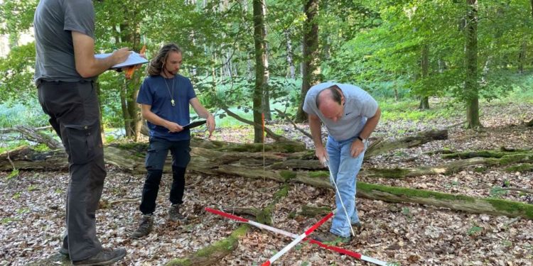  Projekt WiWaldI- Wissenschaftler untersuchen die Waldvegetation