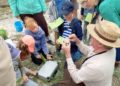 Seeigel, Donnerkeile und Korallen – Steine am Strand und in der Kiesgrube