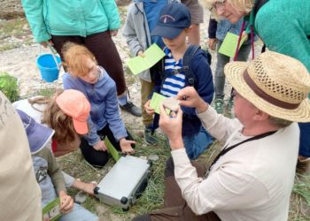 Seeigel, Donnerkeile und Korallen – Steine am Strand und in der Kiesgrube