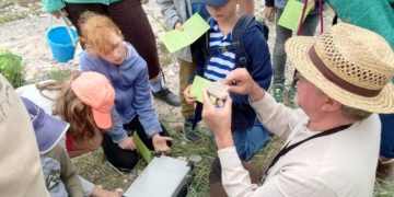 Seeigel, Donnerkeile und Korallen – Steine am Strand und in der Kiesgrube