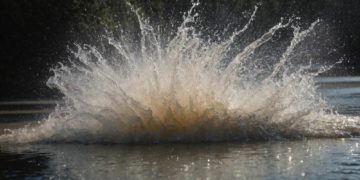 Badewarnung: Blaualgen im Gudower See