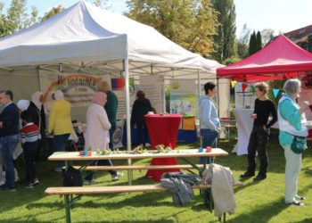 Tag der Demokratie: Vielfältige Begegnungen im Stadthauptmannshof