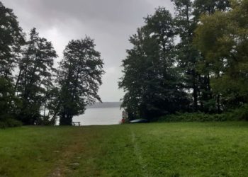 Waldwanderung – ‚Ratzeburger Stadtwald als CO2-Senker‘