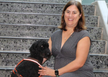 Neues aus der Gemeinschaftsschule Sandesneben