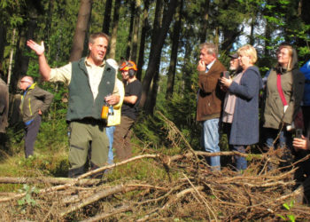 Erfolgreiche Forstbereisung durch den Möllner Stadtwald