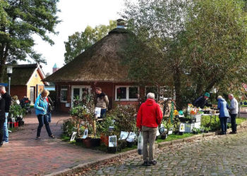 Bald ist wieder Pflanzenflohmarkt in Ratzeburg