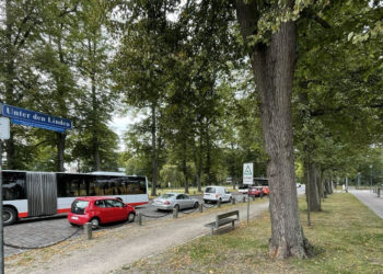 Baumpflegearbeiten im Ratzeburger Stadtgebiet