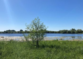 Wilde Weiden, seltene Vögel und Grenzgeschichte