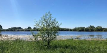 Wilde Weiden, seltene Vögel und Grenzgeschichte