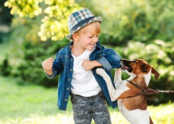 Hohe Infektionsgefahr durch Haustierbisse
