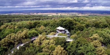 Prüfauftrag ‚Baumwipfelpfad‘ auf der Tagesordnung