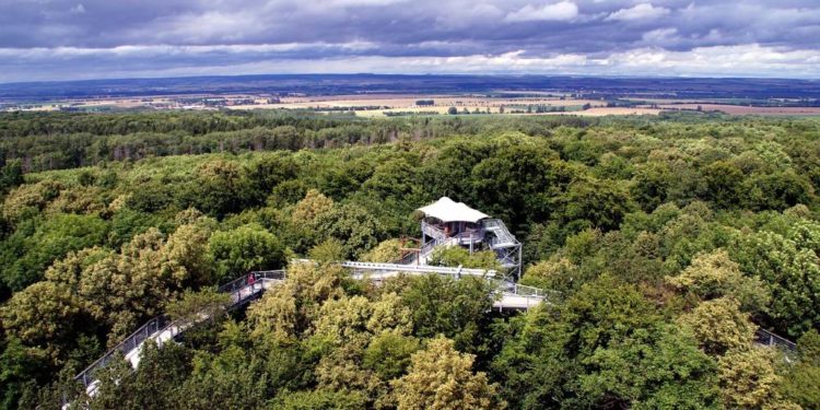 Prüfauftrag ‚Baumwipfelpfad‘ auf der Tagesordnung