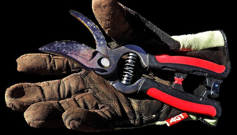 Schredder-Aktion für Gartenbesitzer