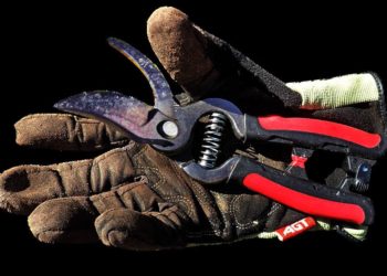 Schredder-Aktion für Gartenbesitzer