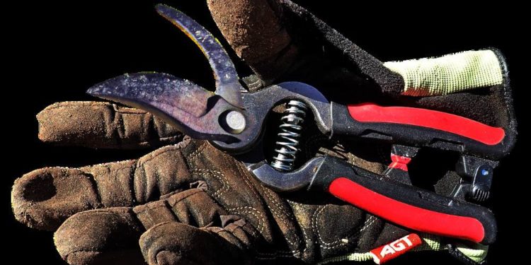 Schredder-Aktion für Gartenbesitzer