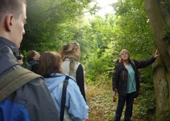 Führung ‚Vorratshaltung für den Winter: Pilze und Beeren‘