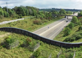 Filmdokumentation: ‚Wildwechsel‘ mit Vortrag und Diskussionsrunde