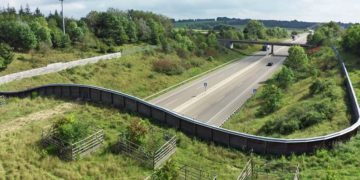 Filmdokumentation: ‚Wildwechsel‘ mit Vortrag und Diskussionsrunde