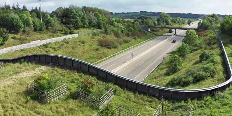 Filmdokumentation: ‚Wildwechsel‘ mit Vortrag und Diskussionsrunde