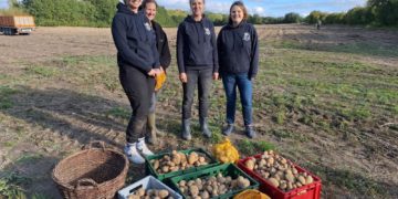 Ladies‘ Circle Mölln: ‚Tüffeln‘ stoppeln zum Tafel-Tag