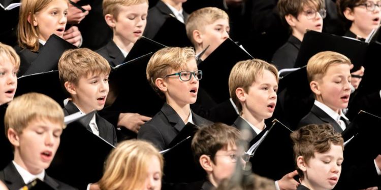 Knabenchor Hannover in Ratzeburg