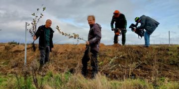 Baggern für den Naturschutz – Neue Knicks für den Kreis