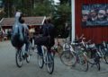 Dokumentation im Kino: „Wald:Sinfonie“