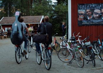 Dokumentation im Kino: „Wald:Sinfonie“