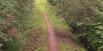 ‚BahnRadWege‘ – FREIE WÄHLER beantragen Verwirklichung auch im Kreis Herzogtum Lauenburg