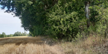 Fachveranstaltung ‚Waldvernetzung‘ der BUND Kreisgruppe und des Kreisbauernverbandes