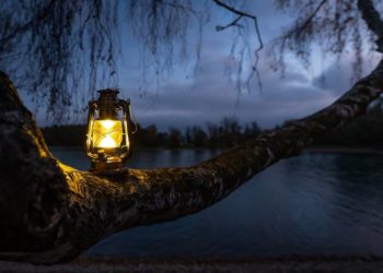 Naturparktour für Familien: Lichter in der Dunkelheit