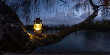 Naturparktour für Familien: Lichter in der Dunkelheit