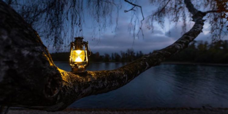 Naturparktour für Familien: Lichter in der Dunkelheit
