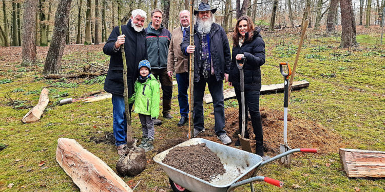 Mölln ehrt ehemalige Stadtvertreter mit nachhaltigem Geschenk