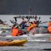 Die 6. Nikolaus-Regatta war ein Publikumsmagnet