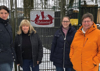 Die SPD Geesthacht hält Wort: Kampf gegen Katzenelend!