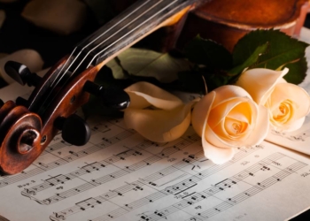 Klassische Musik mit dem Bachorchester Herzogtum Lauenburg