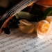 Klassische Musik mit dem Bachorchester Herzogtum Lauenburg