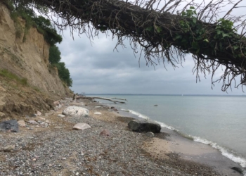 GeoPark Nordisches Steinreich – Alte Gesteine, Fossilien und das Gold der Ostsee