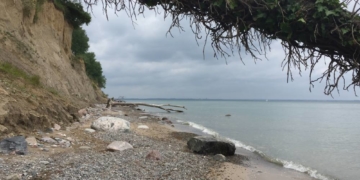 GeoPark Nordisches Steinreich – Alte Gesteine, Fossilien und das Gold der Ostsee