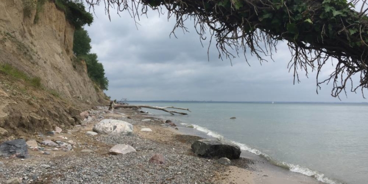 GeoPark Nordisches Steinreich – Alte Gesteine, Fossilien und das Gold der Ostsee