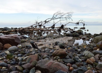 Geowissenschaftliche Tagestour auf Fehmarn