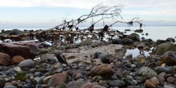 Geowissenschaftliche Tagestour auf Fehmarn